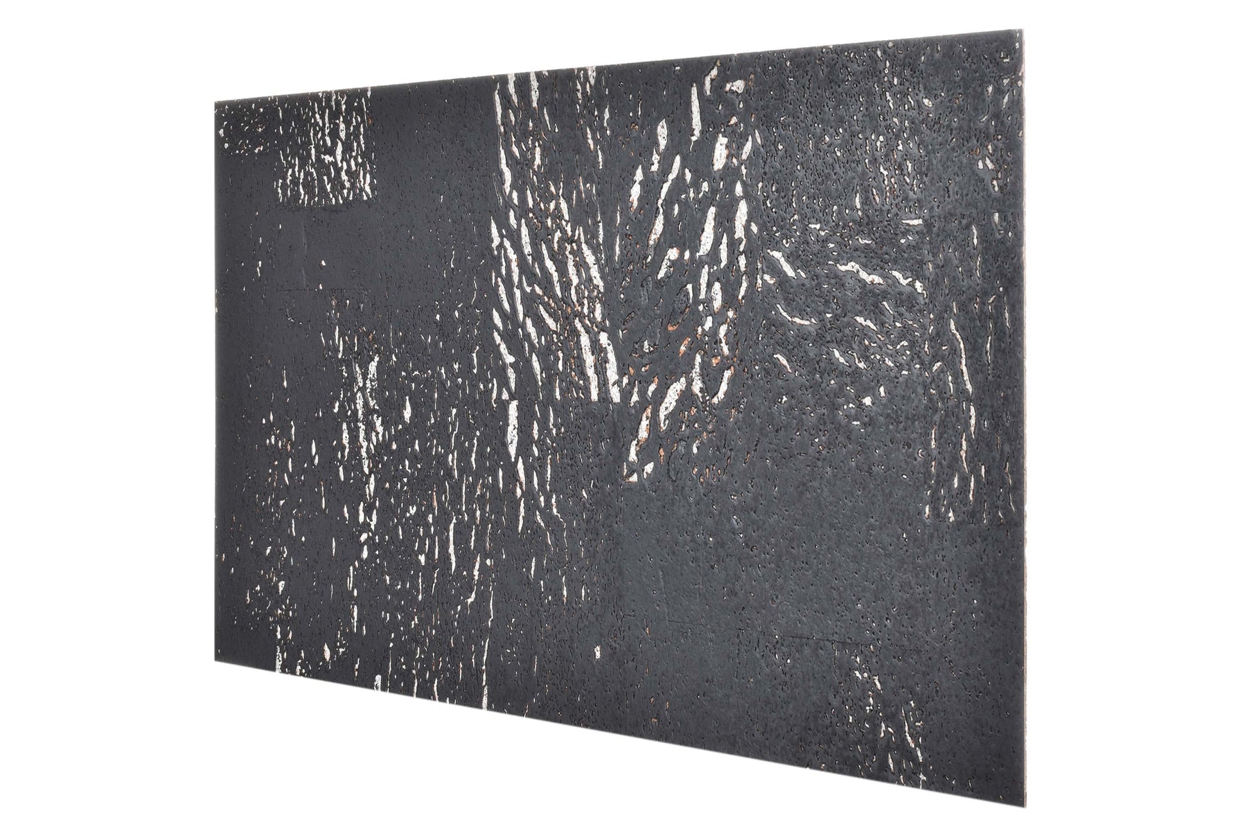 Korktapeet seinaplaadid EUROPA 3x300x600mm