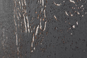 Korktapeet seinaplaadid EUROPA 3x300x600mm