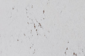 Korktapeet seinaplaadid NIEBLA 3x300x600mm